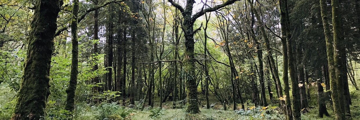 Jennifer Hutton banner