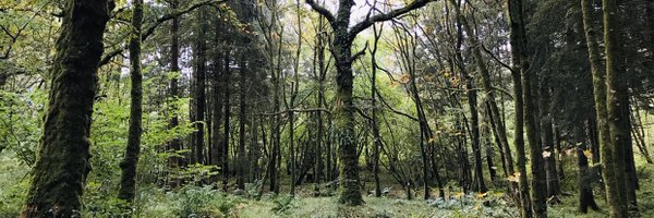 _JenniferHutton Profile Banner