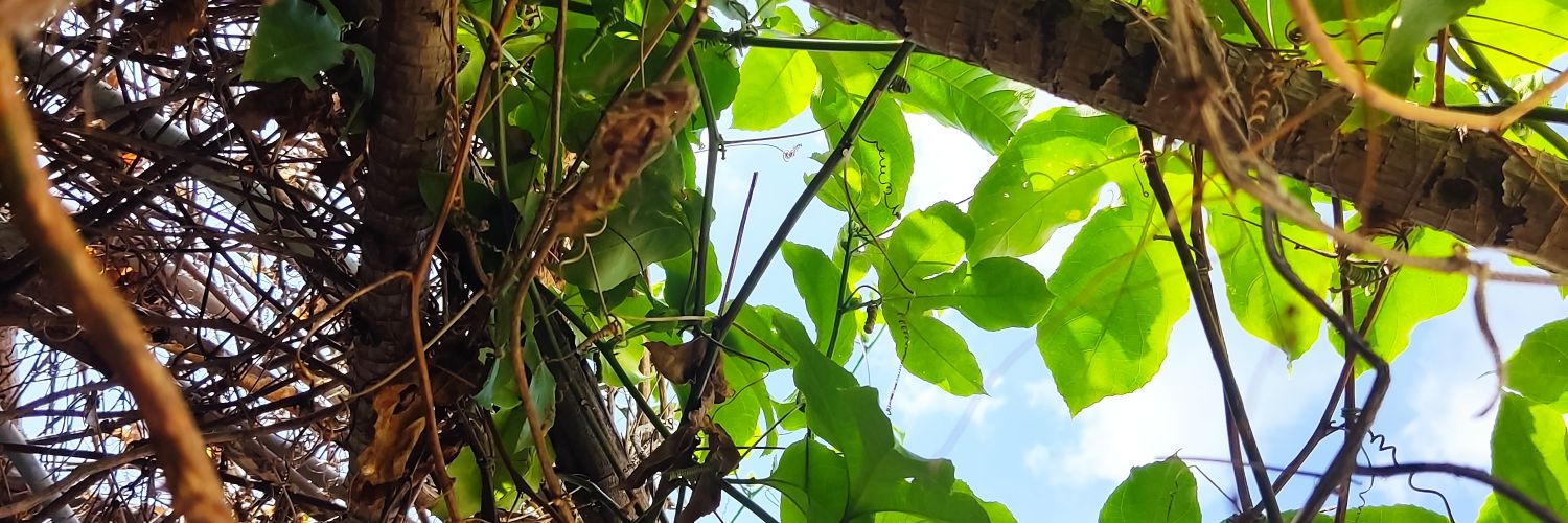 𝕏-Free Mind 🌞🌜 (@GeneBoom5) / Posts / X