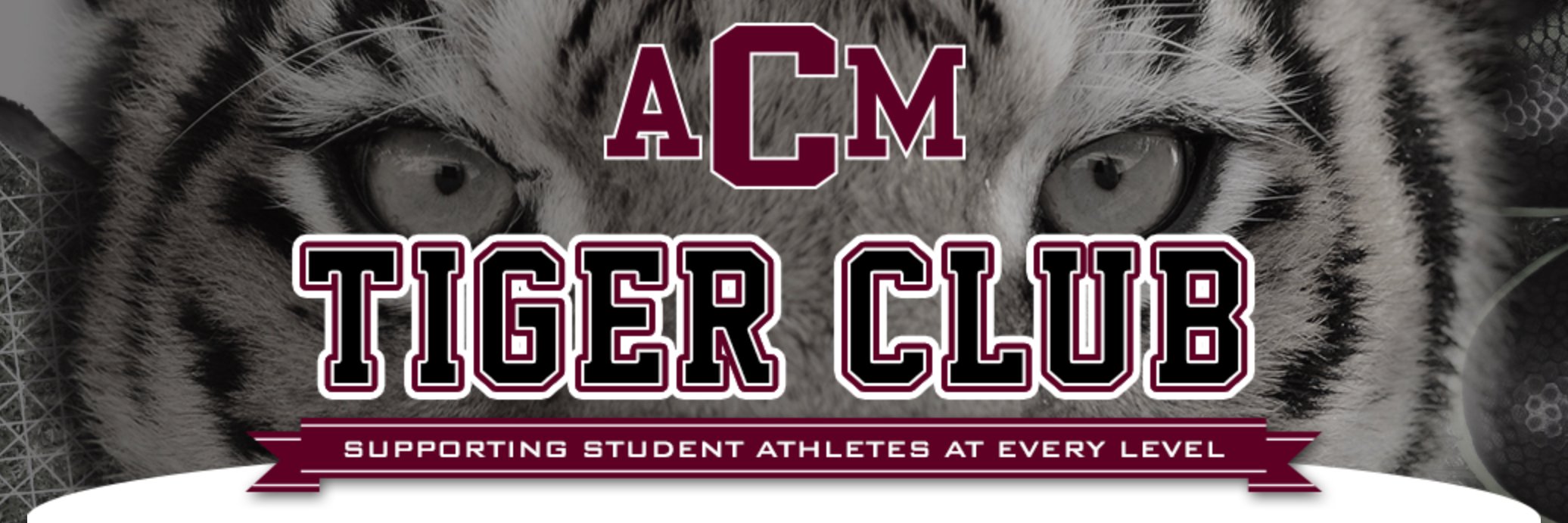 Consol Tiger Club's banner