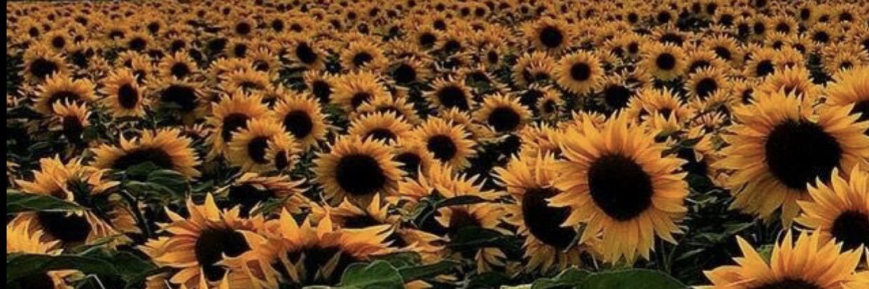 _chelsssr's profile banner image