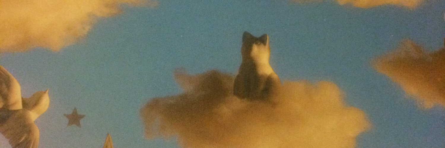 cartoonfuntime's profile banner image