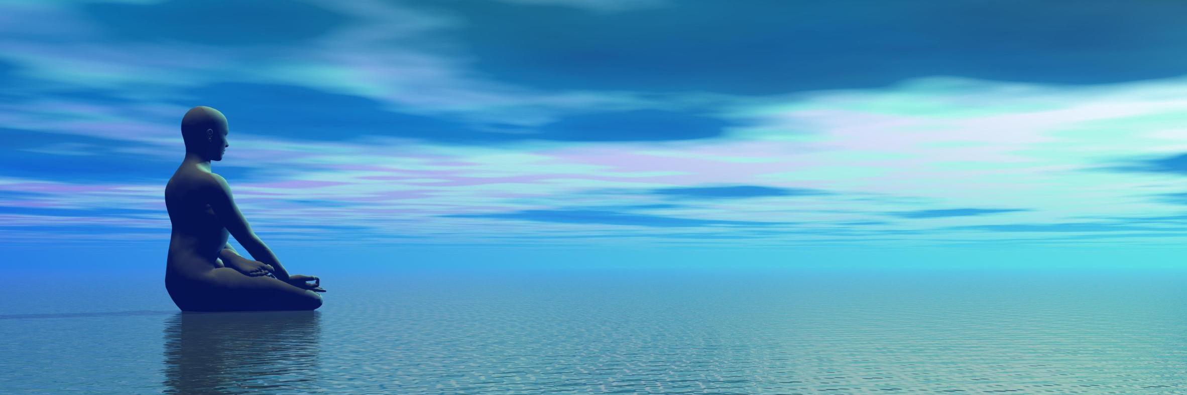 Lawrence D. Robinson banner