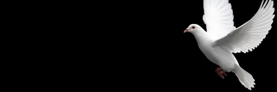 davidlackey2's profile banner image