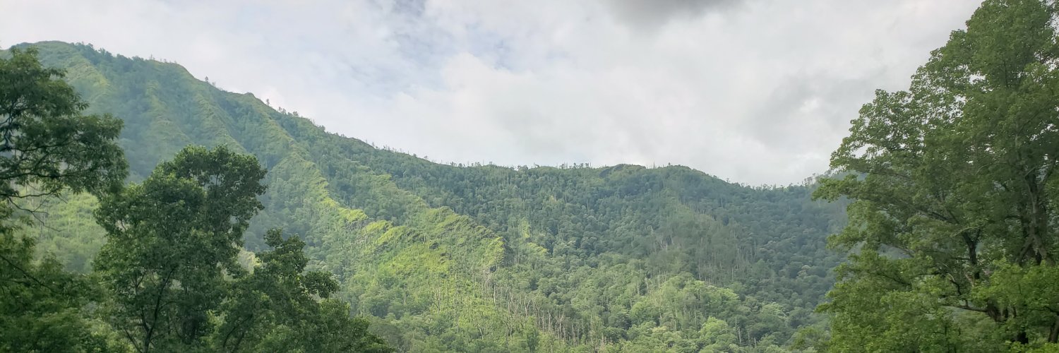 braindeady's profile banner image