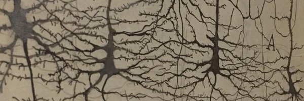 YarCarLab Profile Banner