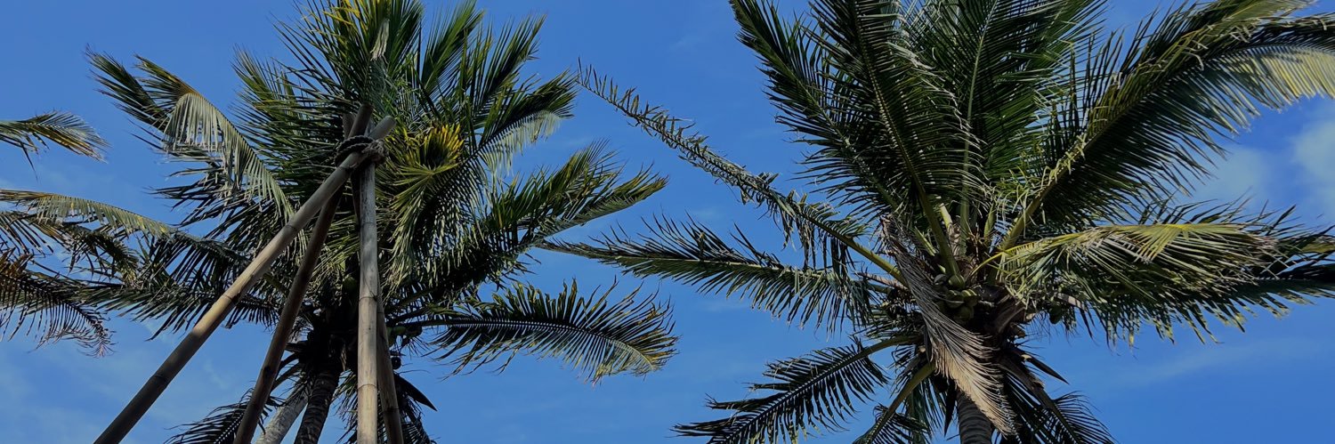 fernandafer009's profile banner image