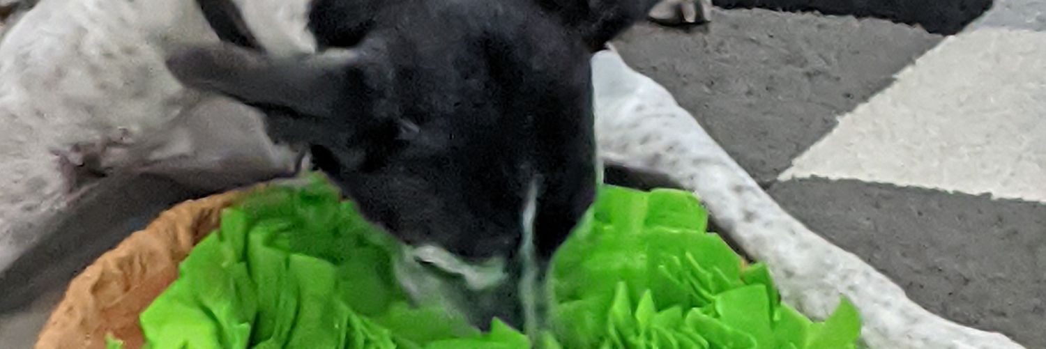 batto_man's profile banner image