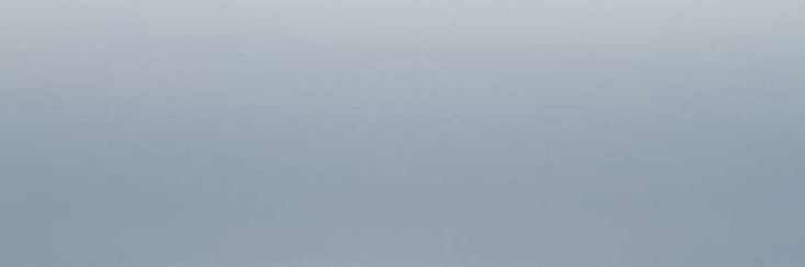 🦢 banner