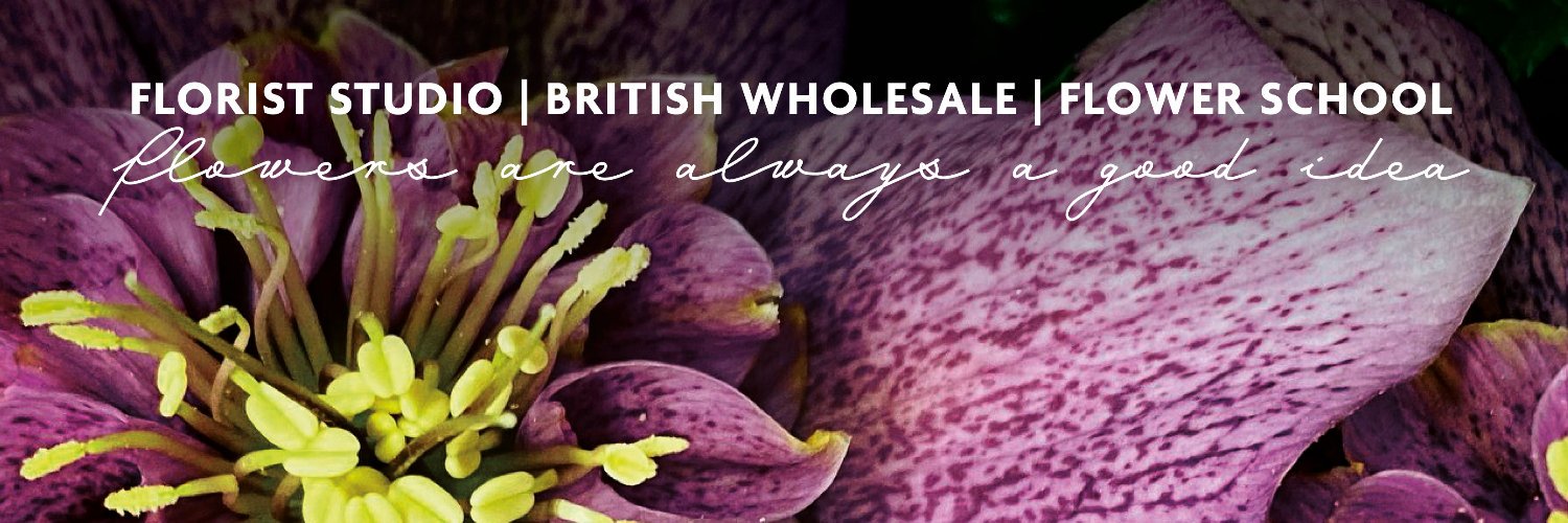 evolveflowers banner