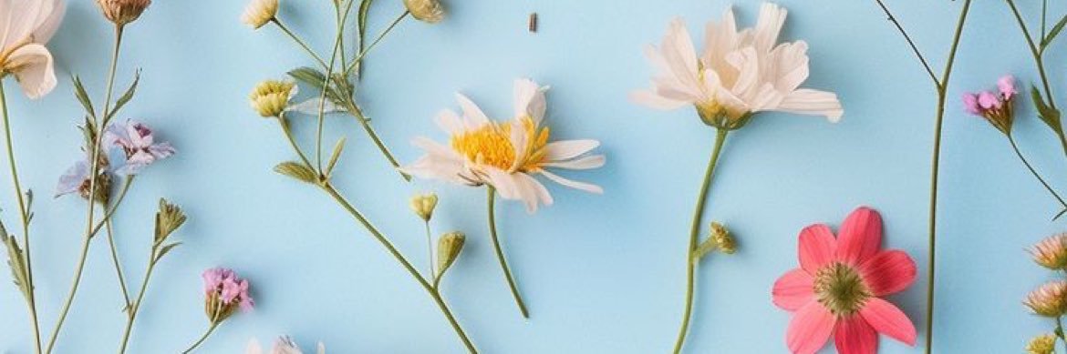 Matilyn_rush's profile banner image