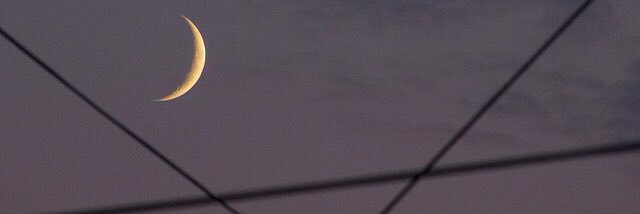 cerenisibol's profile banner image