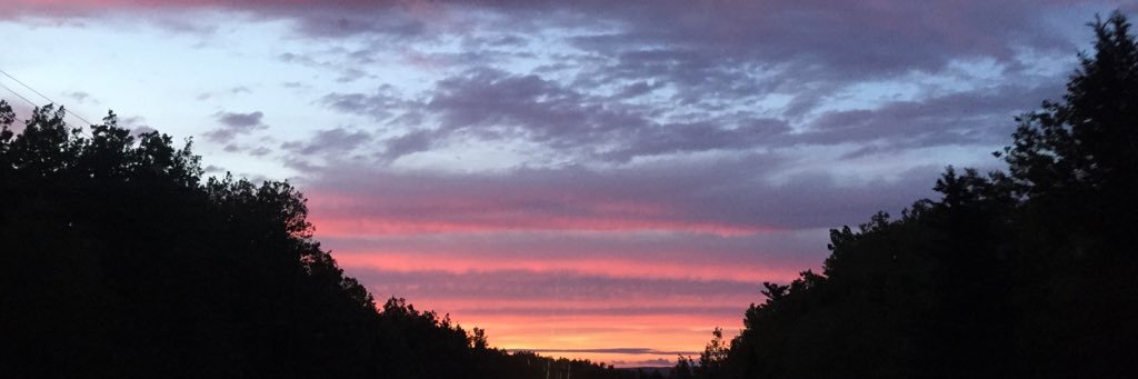 taylorbdv's profile banner image