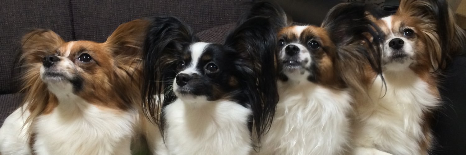 敬、山建（kei,yamaken banner