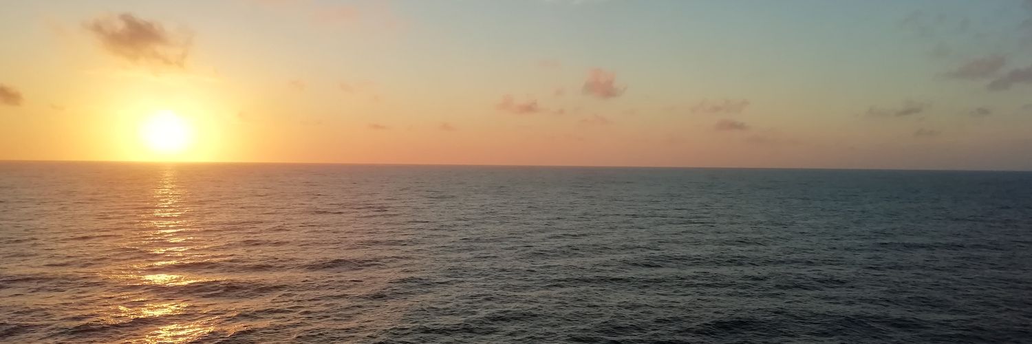 devjjolly's profile banner image