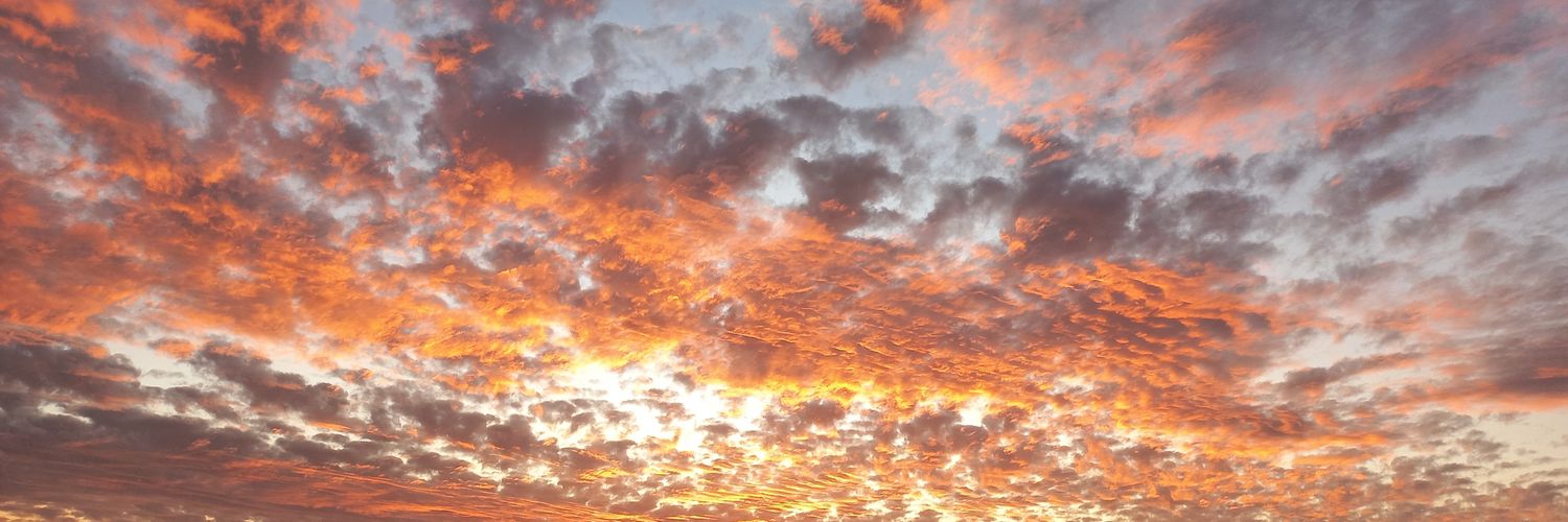 José Pérez Debelli banner