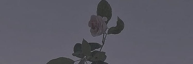 majk_16's profile banner image