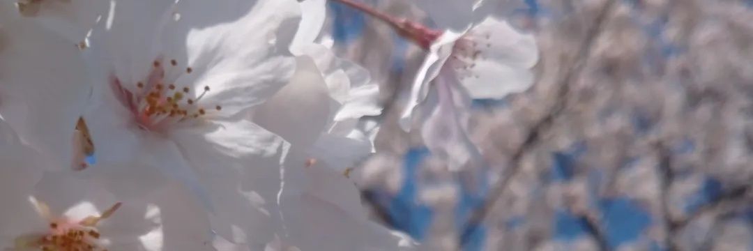 ちぃた。登販ただいま絶賛社畜ちゅー。 banner