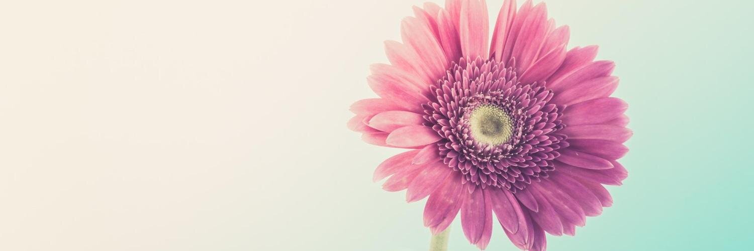 PinkJerbera's profile banner image