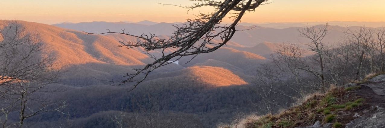 Dasha Herrmannova banner