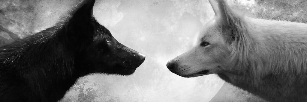 jmb56x's profile banner image