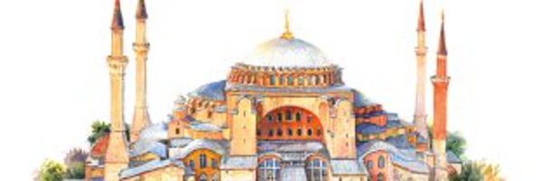 IIFSMVU Profile Banner