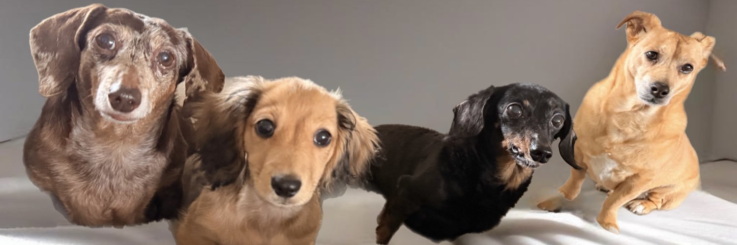 🇺🇸patriorican🇺🇸🇵🇷 banner