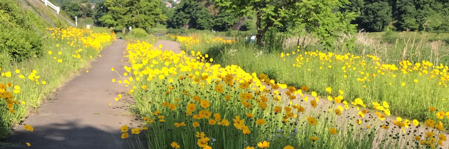 Miami🧜‍♀️（マイアミ） banner