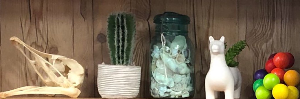 Melissa Haney banner