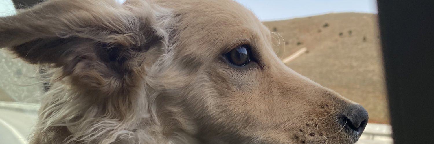 Helinturgutt's profile banner image