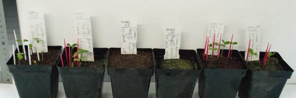 HorticultureSci Profile Banner