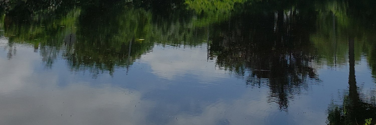 Dr. Lilian Navarro banner