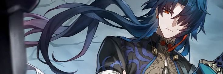 michi banner