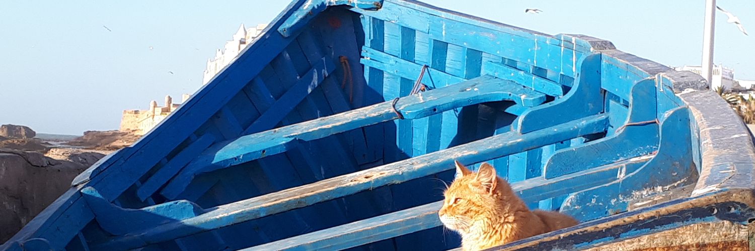 Ester Ferrer Inaebnit banner