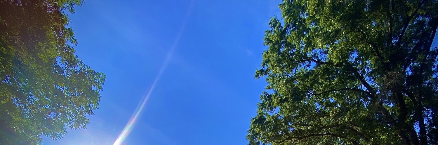 SkylarrMichelle's profile banner image