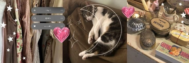 d🪷 🐻ིྀ banner