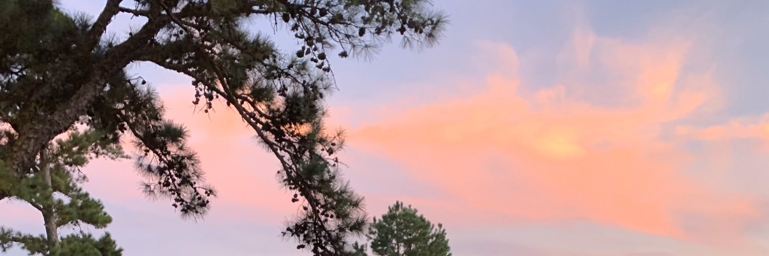 Cendejas870's profile banner image