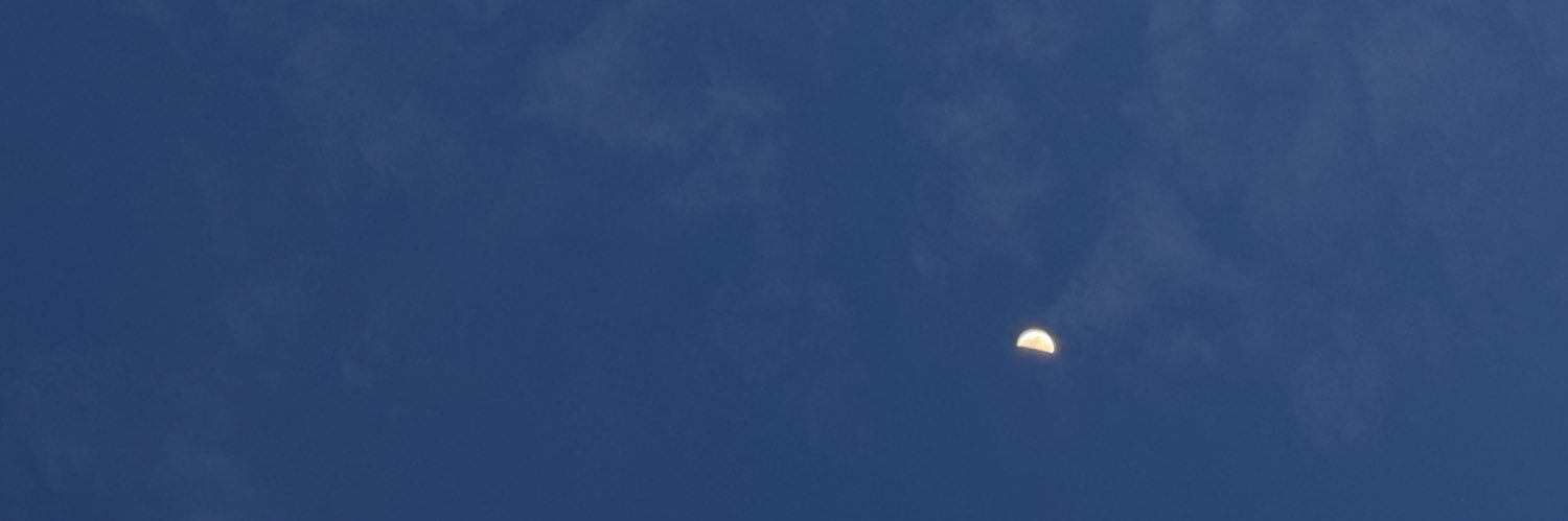 ameliafloresc's profile banner image