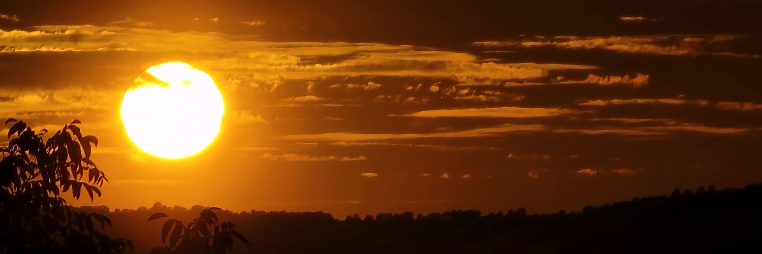 PoeManTr's profile banner image