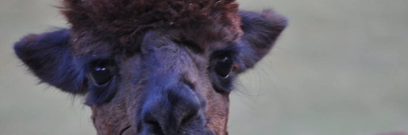 MichaelQuickAZ's profile banner image