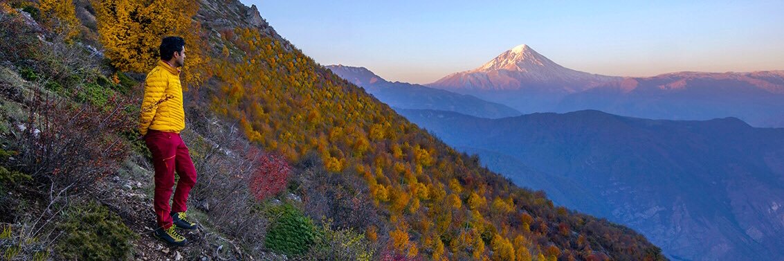 Javad Gharaei banner