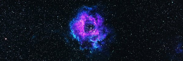 PaulVTubear Profile Banner