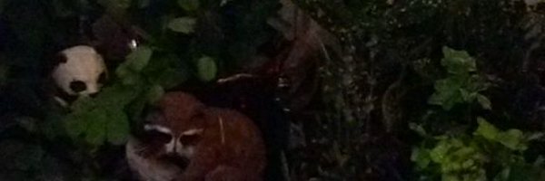 Barbara98149764 Profile Banner