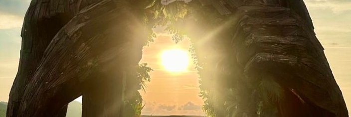 mimlendik's profile banner image