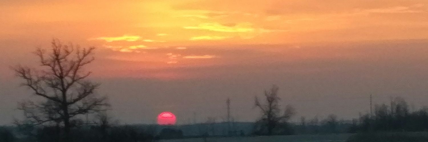 Kira van Rees banner