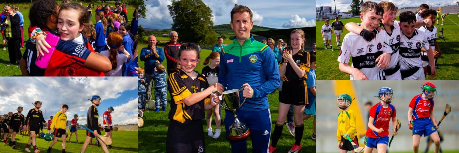 Offaly Cumann Na mBunscol banner