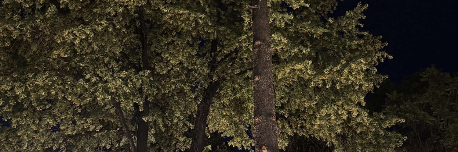 guness0_0's profile banner image