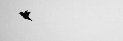 ayselcyn's profile banner image