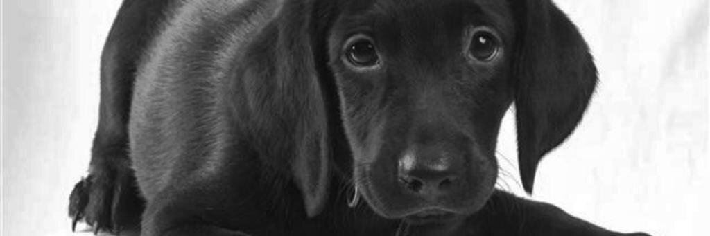 eeqansuz10's profile banner image