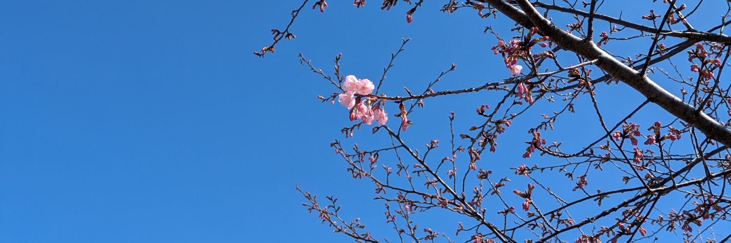 cathrina85's profile banner image